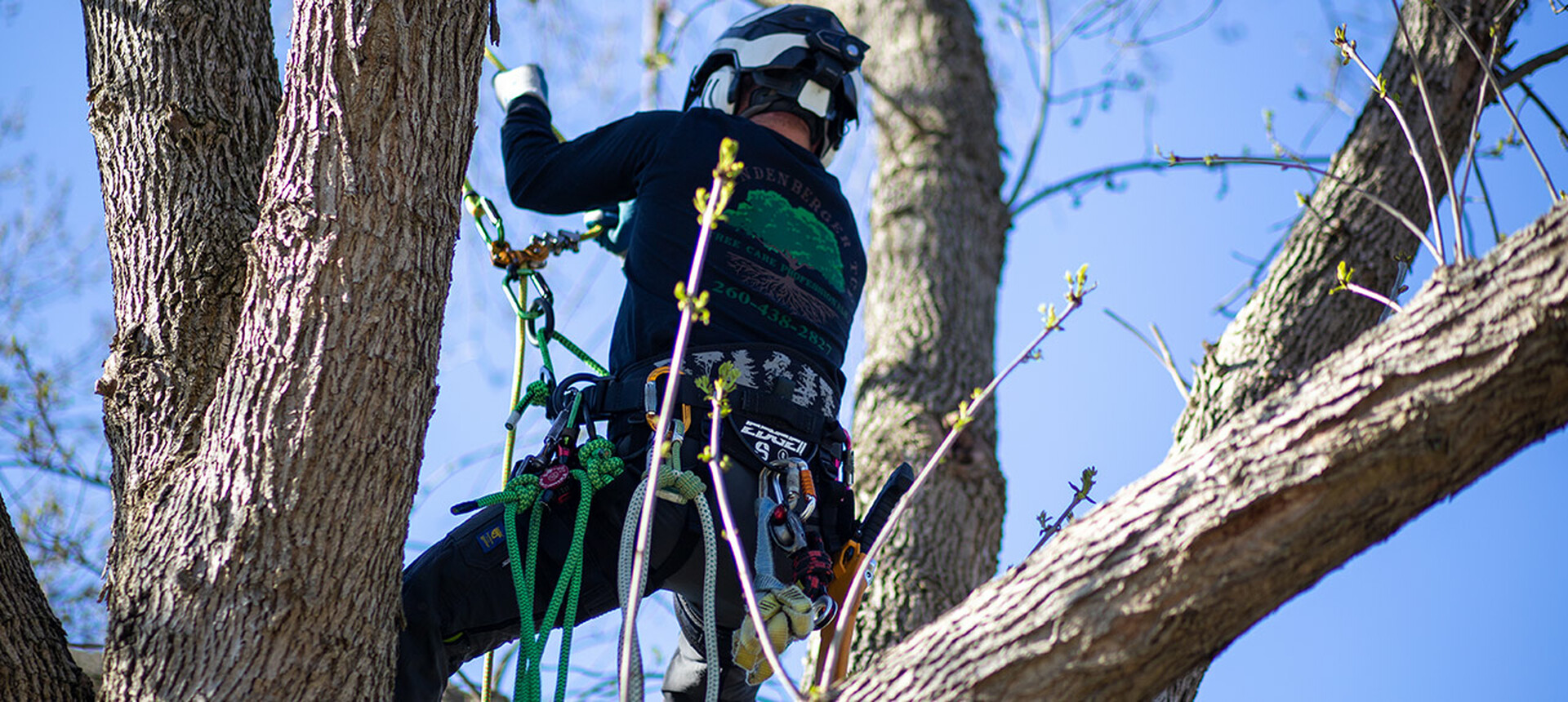 Arborist Support - Vermeer Great Plains